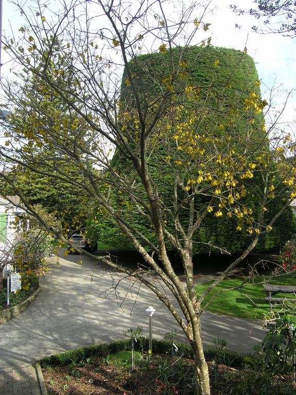 Bucket Tree Lodge Tawa Exterior foto