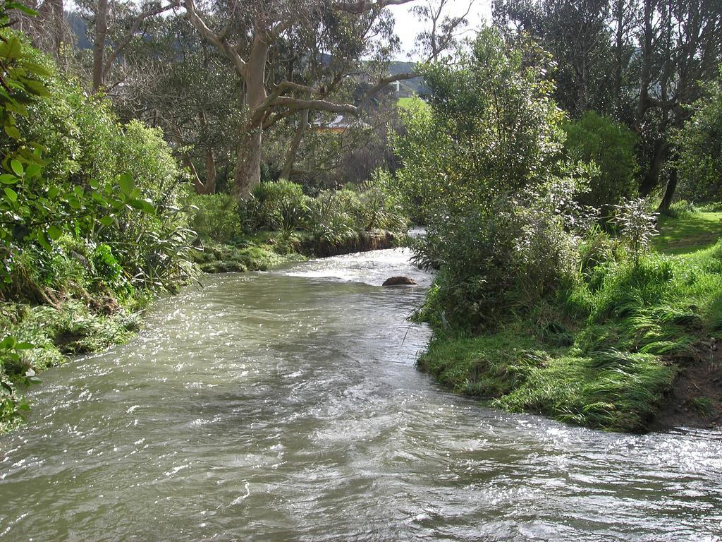 Bucket Tree Lodge Tawa Exterior foto